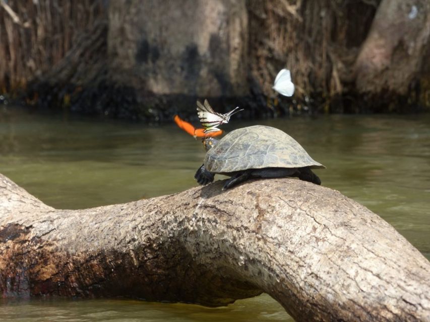 Tambopata: Lake Sandoval Canoeing With Lunch - Directions