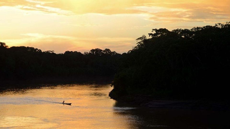 Tambopata: Search for Caimans in the Amazon Night Tour - Live Tour Guide