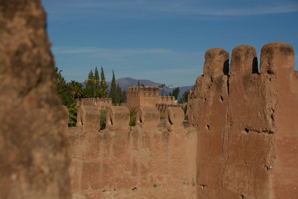 Taroudant and Tiout Oasis Trip With Lunch - Additional Information About Taroudant