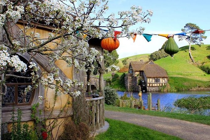 Tauranga - Magical Hobbiton Movie Set - Private Shore Excursion. - Booking Information