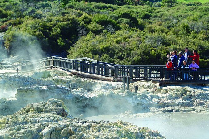 Tauranga Tour - Rotorua Hells Gate Geothermal Park & Mud Spa - Booking and Pricing