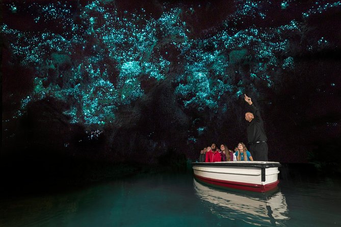 Tauranga - Waitomo : Ancient "Glow-Worm Caves" Private Day Tour - Additional Tour Information