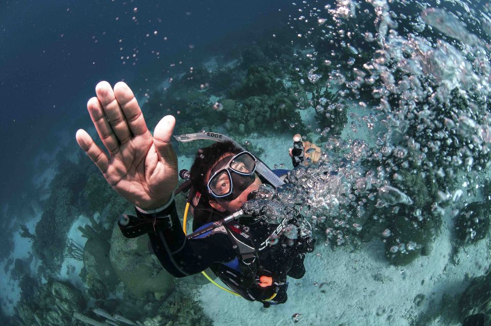 Tayrona National Park: Scuba Diving Tour for Beginners - Location and Identification