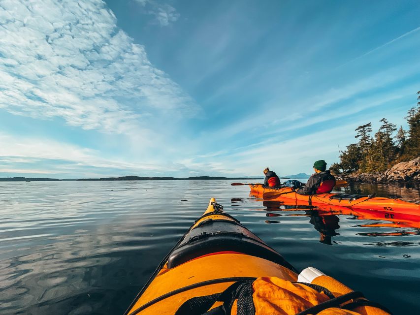 Telegraph Cove: 2 Hour Evening Kayak Tour - Additional Details