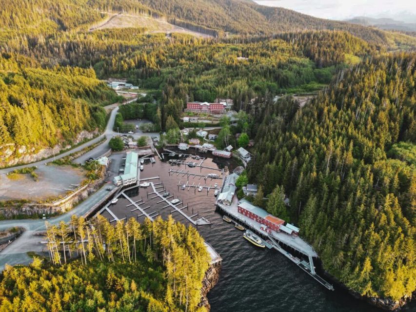 Telegraph Cove: Half-Day Kayaking Tour - Telegraph Cove Location