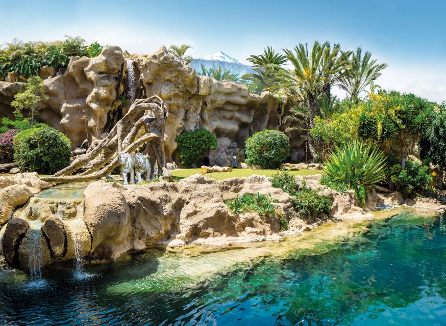 Tenerife: Loro Parque & Siam Park Combined Tickets - Customer Reviews