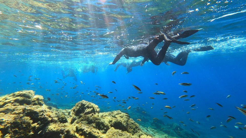 Tenerife: Snorkeling Tour in a Marine Protected Area - Reviews