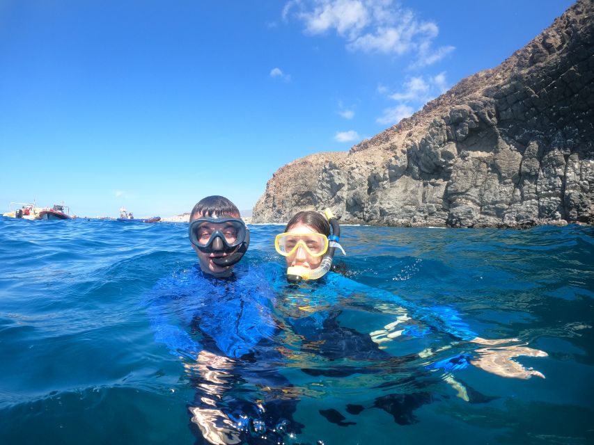 Tenerife: Snorkeling Trip in a Turtle Habitat - Languages & Accessibility