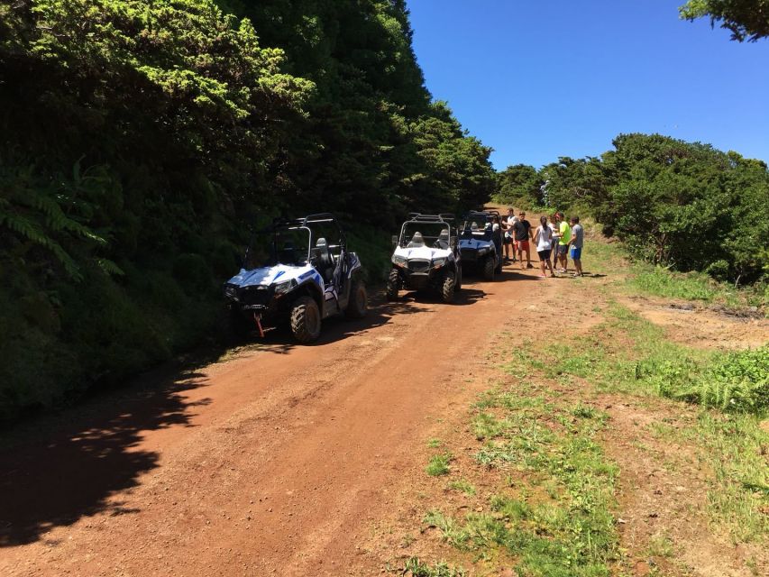 Terceira: Buggy Tour 4x4 West Side Azores Retreat - Group Experience and Accommodations