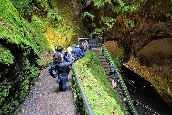 Terceira Island: Algar Do Carvão - the Caves Tour - Reviews and Pricing