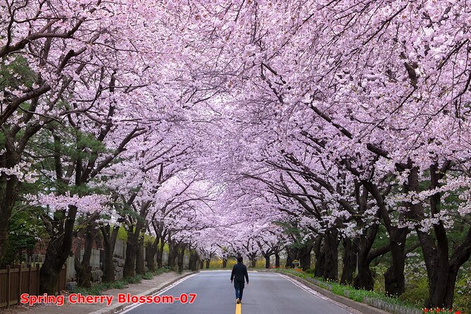 The Beauty of the Korea Cherry Blossom Discover 11days 10nights - Booking and Cancellation Policy