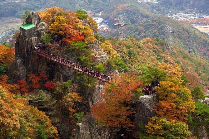 The Beauty of the Korea Fall Foliage Discover 11days 10nights - Booking Information and Contact Details