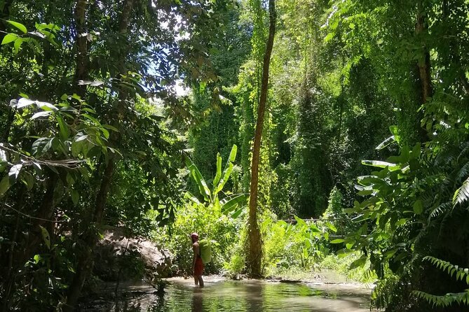 The Best Full Day Tour: Doi Suthep, Wat Phalat, Sticky Waterfall - What to Bring