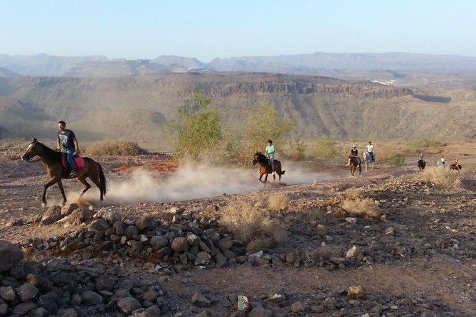 The Best Horse Riding Experience in Gran Canaria (1 Hour) - Common questions