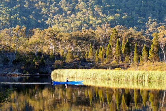 The Explorers Discovery Tour - Gold, Wine & Wildlife - Wildlife Encounters