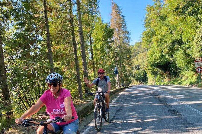 The Heart of the 5 Terre: Monterosso and National Park Ebike Tour - Traveler Reviews