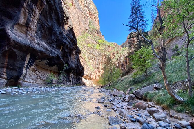 The Narrows: Zion National Park Private Guided Hike - Visitor Recommendations