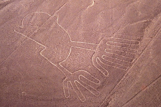 The Nazca Lines, Huacachina Oasis & Dune Buggy - Additional Details