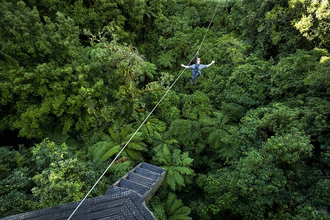 The Original Canopy Zipline Experience Private Tour From Auckland - Booking Information