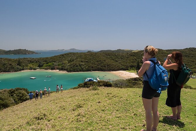 The Original Full Day Bay of Islands Cruise With Dolphins - Refund Process Explained