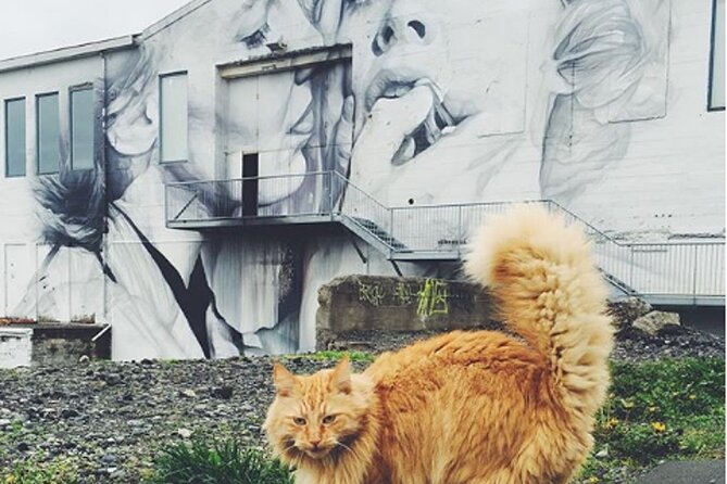 The Reykjavik Cat Walking Tour - Contact Information and Additional Resources