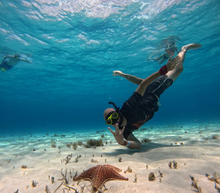 The Signature Cozumel Snorkel Tour - What to Bring and Restrictions