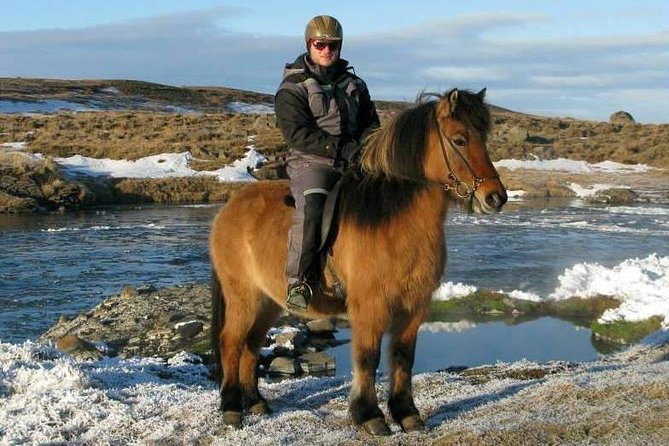 The Viking North Iceland Horse Riding in Winter Experience - Reviews and Pricing