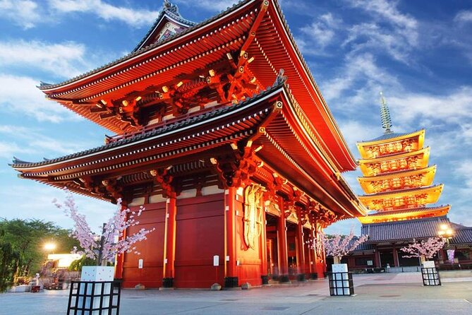 Tokyo by Yourself With English Speaking Driver by Van -4 or 8 Hrs - Additional Details and Accessibility