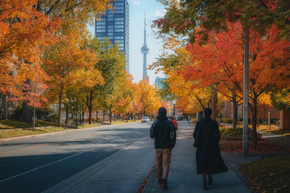 Toronto: City Highlights Walking Tour - Meeting Point Details