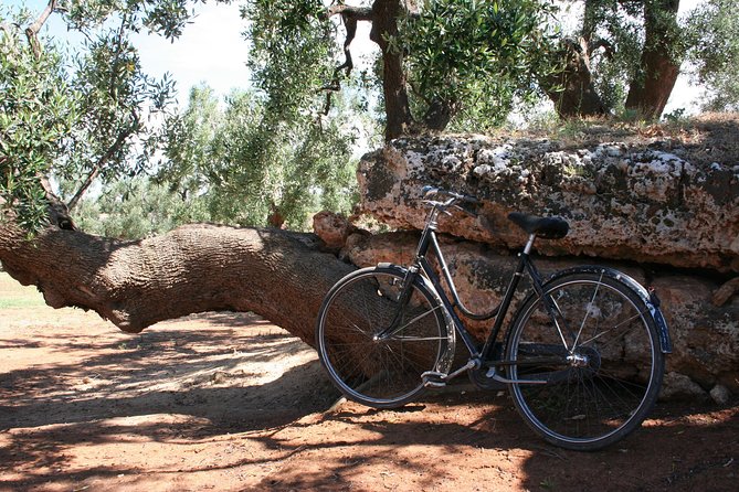 Tour and Extra Virgin Olive Oil Tasting in a Farmhouse, Small Group - Last Words