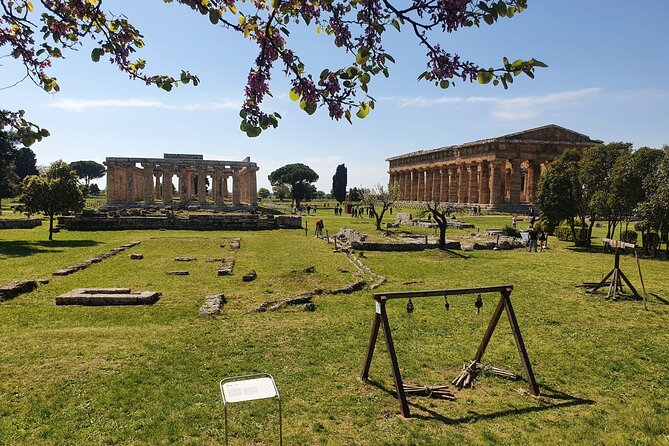 Tour at the Temples and the National Museum of Paestum - Last Words