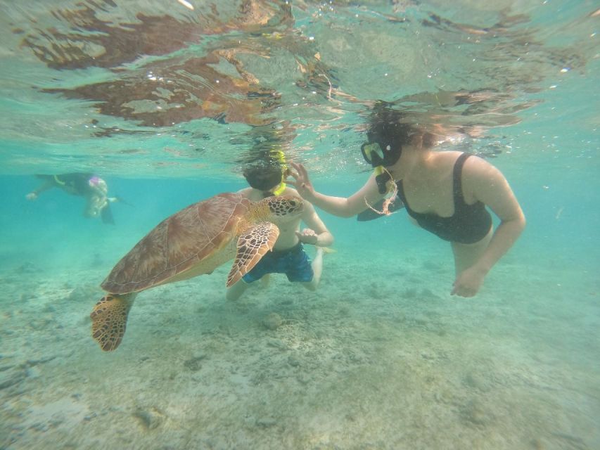 Tour Gili Islands : Private Snorkeling Trip 4 Hours - Cancellation Policy