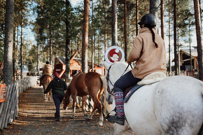 Tour to Aurora Horses Farm With Charming Finnhorses - Location and Directions