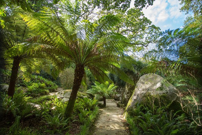 Tour to Sintra - Roca Cape - Cascais - UNESCO Sites Visited