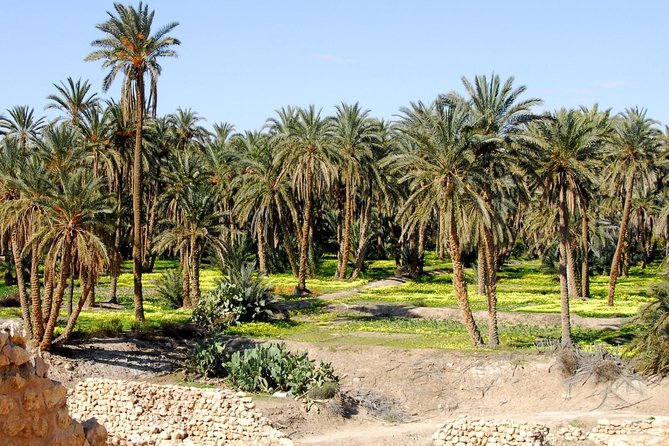 Tozeur and the Mountain Oasis - Taste of Saharan Cuisine