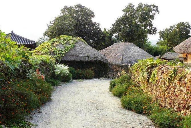 Traditional Korean Folk Village Afternoon Tour - Operator Background