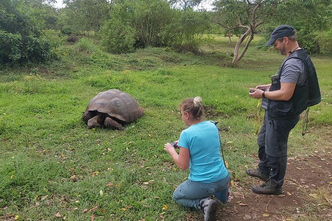 Transfer Airport-Hotel in Galapagos Santa Cruz With Visit to Giant Tortoises - Common questions