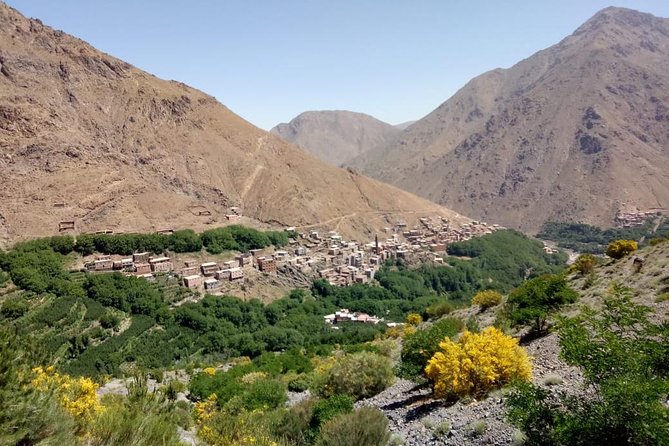 Trekking in Morocco / Atlas Mountains and Sahara Trek (5days) - Common questions