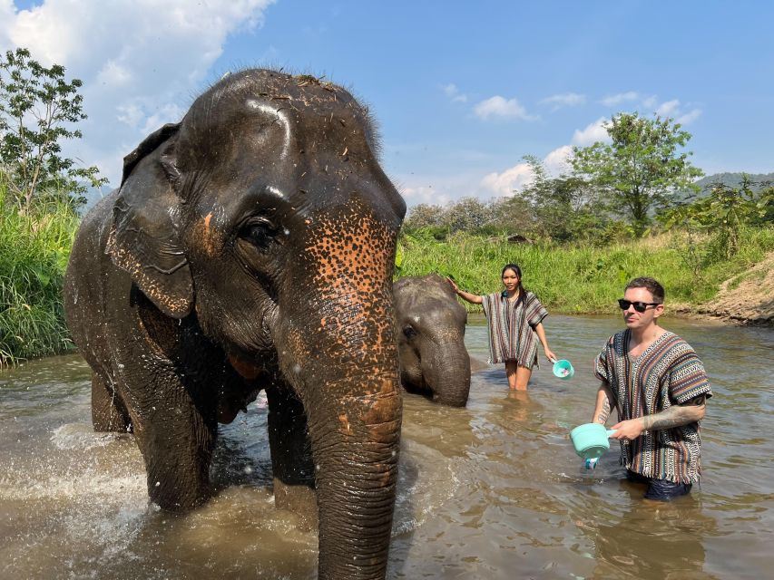 Trekking One Day With Elephant Care Bamboo Rafting - Common questions