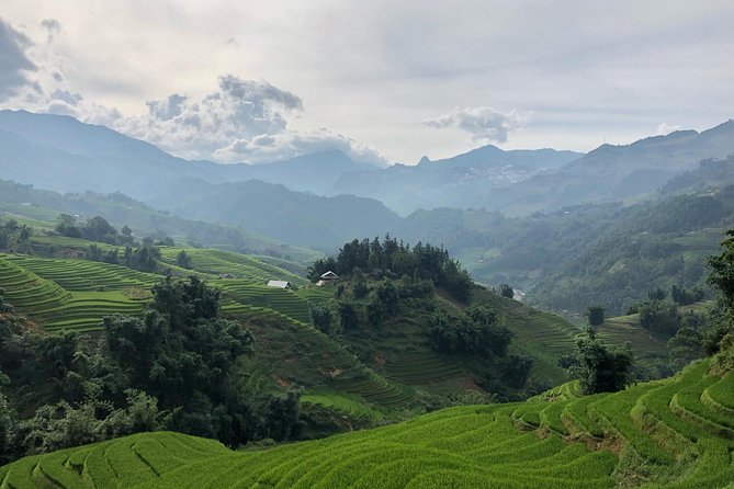 Trekking Sapa 1 Day - the Best Terraced Rice Field - Detailed Itinerary and Tour Highlights