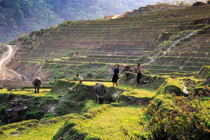 Trekking Through Rice Terraced Fields - 1Day - Reliable Customer Support