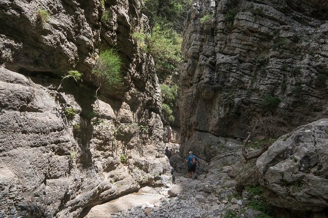 Trekking Unknown Gorges in the Region of Rethymno - Local Cuisine and Dining Options