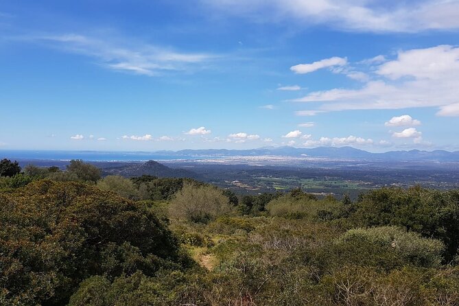 Trike Day Tour From Paguera - Meeting Point and Time