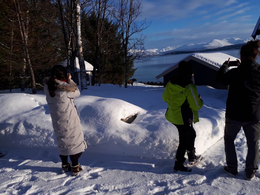 Tromsø: Arctic Landscape and Fjord Tour - Transport and Guide Services