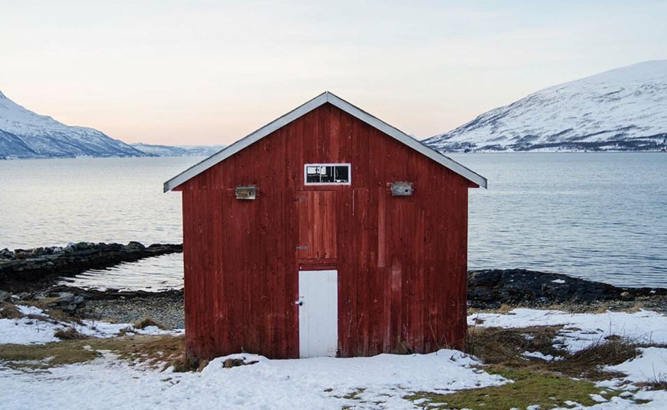 Tromsø: Arctic Sightseeing Tour & Citizen Science Project - Additional Inclusions