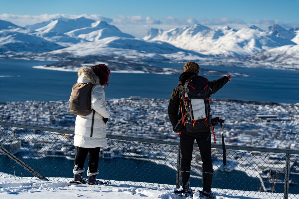 Tromsø: Daytime Fjellheisen Snowshoe Hike and Cable Car Ride - Positive Comments