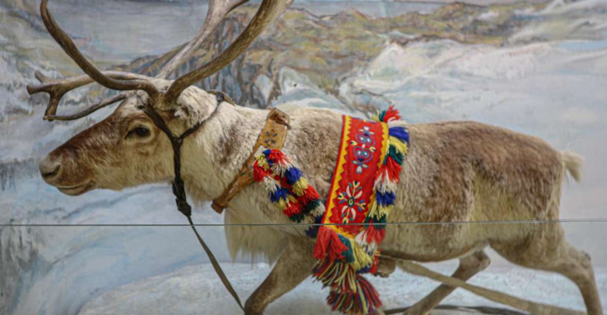 Tromsø: Discover Sami Culture Museum Expedition - Common questions