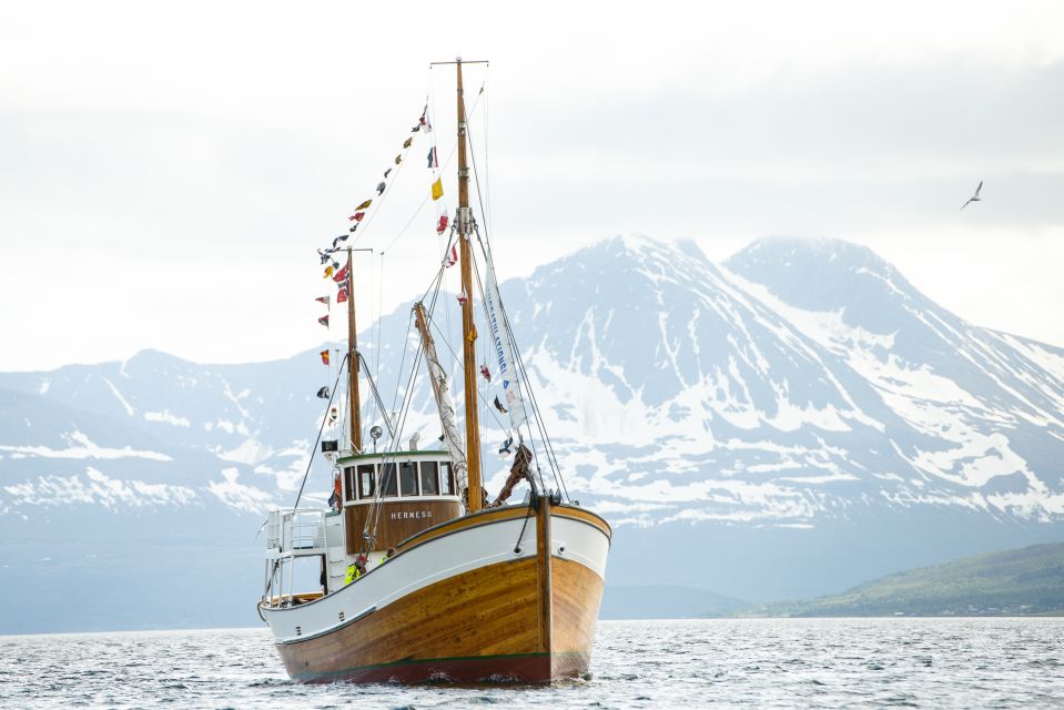 Tromsø: Fishing & Fjord Cruise - Customer Reviews