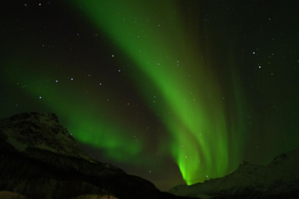 Tromsø: Guided Tours to See the Northern Lights: - Common questions