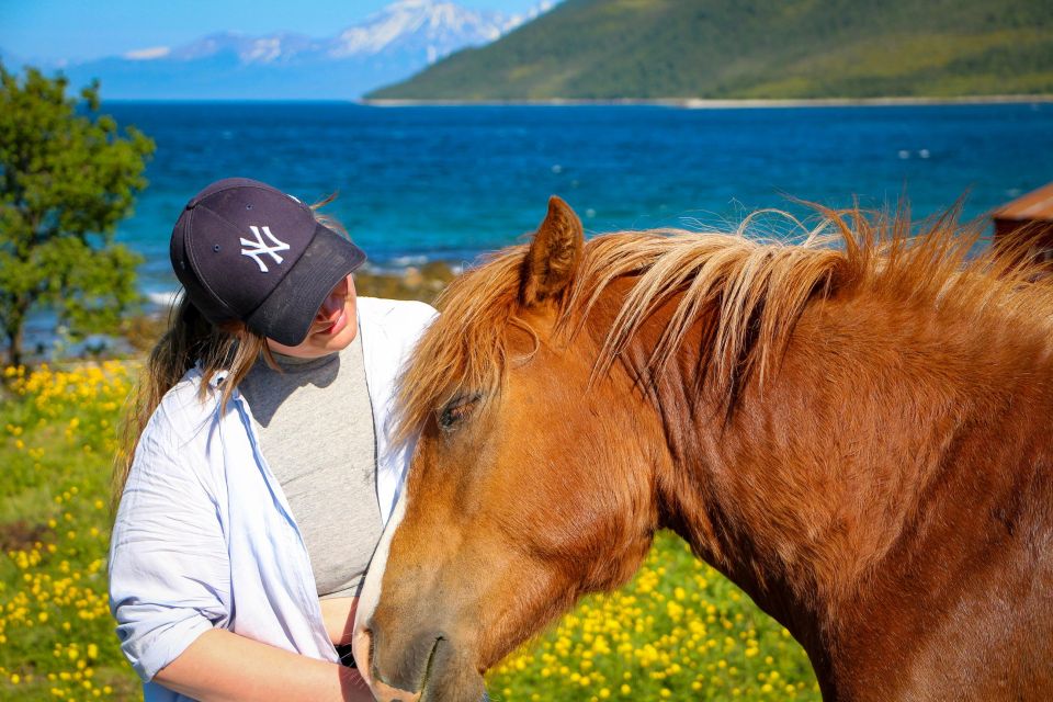 Tromsø: Lyngen Horseback Riding Experience - Small Group Size